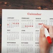 Menstrualni kalendar, ilustracija