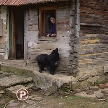 Nada Bromisa, Dragana Bromisa - 2