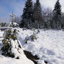 Snijeg u Gorskom kotaru - 3