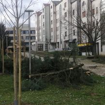 Jak vjetar izazvao niz problema u Osijeku - 3