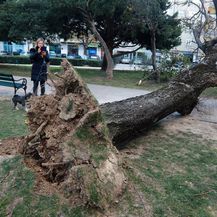 Porušena stabla nakon bure u Splitu - 26