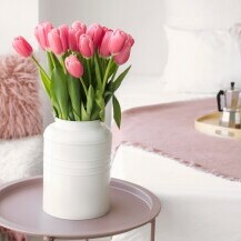Tulipan je omiljen ukras u mnogim domovima
