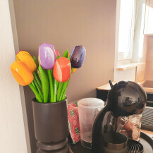 Drveni tulipani iz Nizozemske, dar pacijenta, krase kuhinjski otok