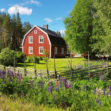 Helenina kuća u skandinavskom stilu