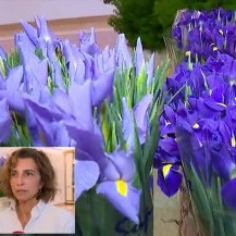 Arhitektica i floristica Boška Bahtijarević