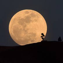 Superkrvavi plavi Mjesec iznad Los Angelesa (Foto: AFP)