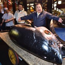 Vlasnik lanca restorana tunu je kupio na aukciji na novoj tokijskoj tržnici (Foto: AFP) - 8