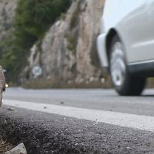 Stijene sa Srđa (Foto: Dnevnik.hr) - 3