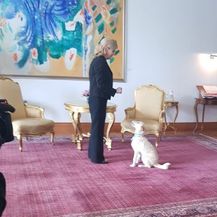 Predsjednica s kujicom Kikom (Foto: Dnevnik.hr) - 1