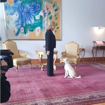 Predsjednica s kujicom Kikom (Foto: Dnevnik.hr) - 2