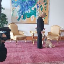 Predsjednica s kujicom Kikom (Foto: Dnevnik.hr) - 4