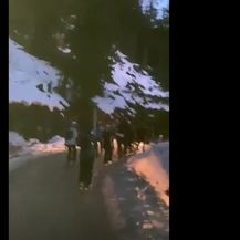 Skijaši na Krvavcu - 3