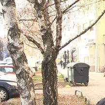 Stjepan, Zagreb