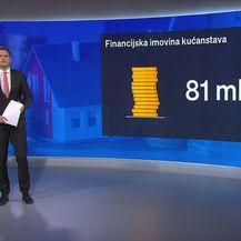 Videozid: Imovina Hrvata - 4