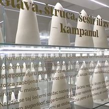 Noć muzeja - 2