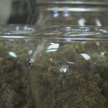 Marihuana - 1