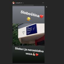 Vedran Ćorluka (FOTO: Instagram)