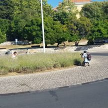 Kad dečki fotkaju (Foto: boredpanda.com) - 30