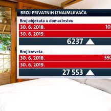 Grafika broja privatnih iznamljivača (Foto: Dnevnik.hr)