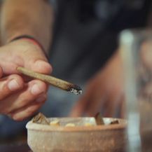 Marihuana (Foto: Dnevnik.hr)