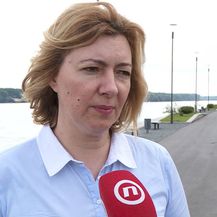 Saborska zastupnica Dragana Jeckov (Foto: Dnenvik.hr)