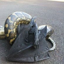 Australska čudovišta (Foto: boredpanda.com) - 34