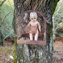 Šetnje šumom (Foto: boredpanda.com) - 27