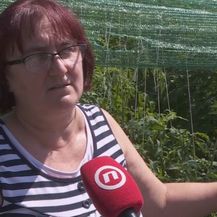 Vlasnica OPG-a Ljiljana Kolombo (Foto: Dnevnik.hr)