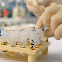 Hrvatski znanstvenici neprestano rade na tome da budu konkurentniji i kompetitivniji na tržištu