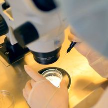 Programima Obzor nastoji se potaknuti znanstvena izvrsnost