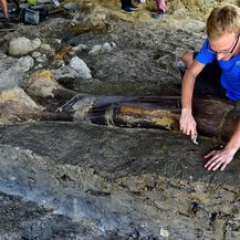 Divovska bedrena kost dinosaura pronađena u Francuskoj (Foto: AFP) - 5