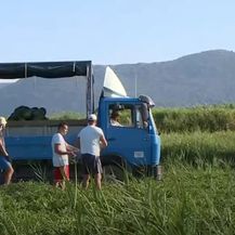 Novi oblik prodaje lubenica - 3