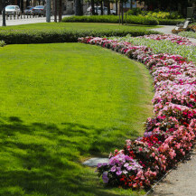 Sakuntalin park u Osijeku izabran je za najljepši park u Hrvatskoj - 7