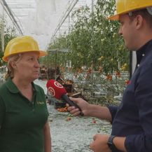 Domagoj Mikić i Tanja Bilić - 1