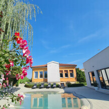 Villa Franka u Nedešćini u Istri ima bazen prirodnog izgleda i cvjetnu aleju s preko 150 biljaka - 7