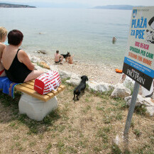 Dog friendly plaža Podvorska u Crikvenici - 2
