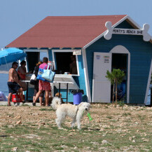 Dog friendly plaža Podvorska u Crikvenici - 3