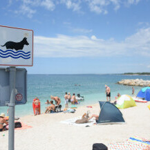 Dog friendly plaža Hidrobaza u Puli