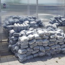 Splitska policija zaplijenila više od 400 kilograma marihuane (Foto: Mario Jurič)