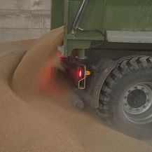 Počela žetva pšenice (Foto: Dnevnik.hr) - 2