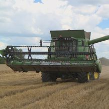 Počela žetva pšenice (Foto: Dnevnik.hr) - 4