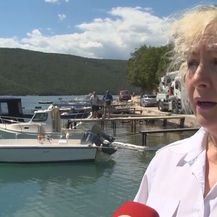 Posljedice ekološkog incidenta (Dnevnik.hr)