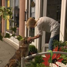 Najljepša priča o prijateljstvu između psa i čovjeka (Foto: Dnevnik.hr) - 9
