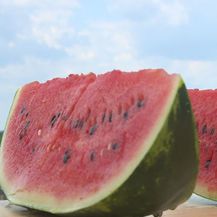 Zašto je uvozna lubenica jeftinija od domaće? (Foto: Dnevnik.hr) - 2