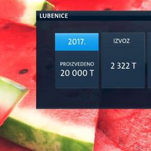 Zašto je uvozna lubenica jeftinija od domaće? (Foto: Dnevnik.hr) - 3