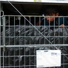 Migranti uhvaćeni na srpskoj granici (Foto: Upraca carine RS) - 1