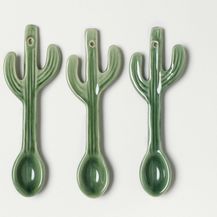 Detalji kao stvoreni za ljubiteljice kaktusa - 5