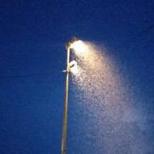 Roj komaraca u Višnjevcu (Foto: Čitatelj)1