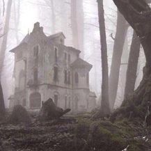 Šume (Foto: boredpanda.com) - 30