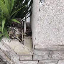 Kamion zapeo za kuću u Dubrovniku - 1